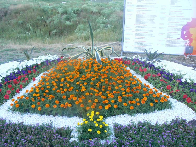 http://www.novodar.ru/images/stories/_98782.jpg